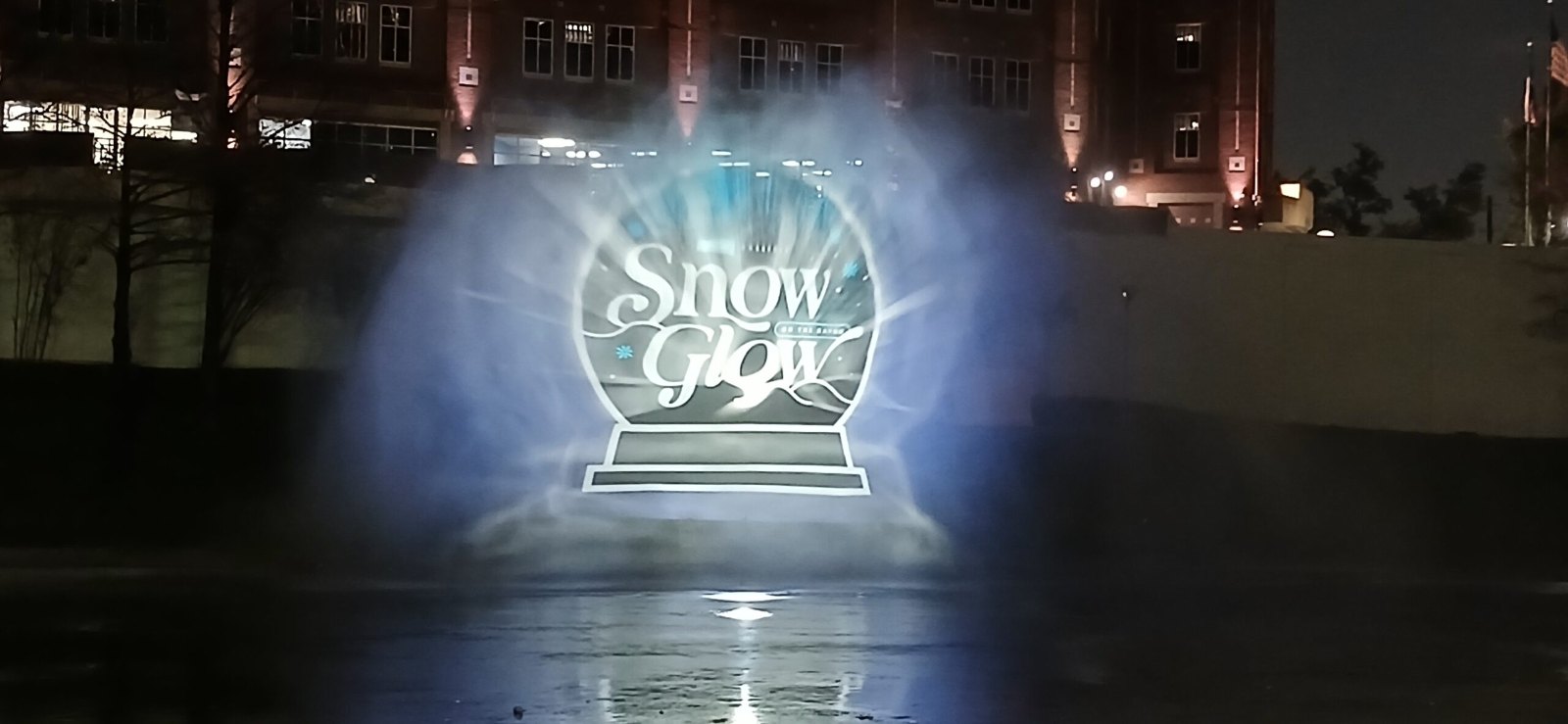 Event logo projected onto an outdoor water screen at night, produced by NAVP
